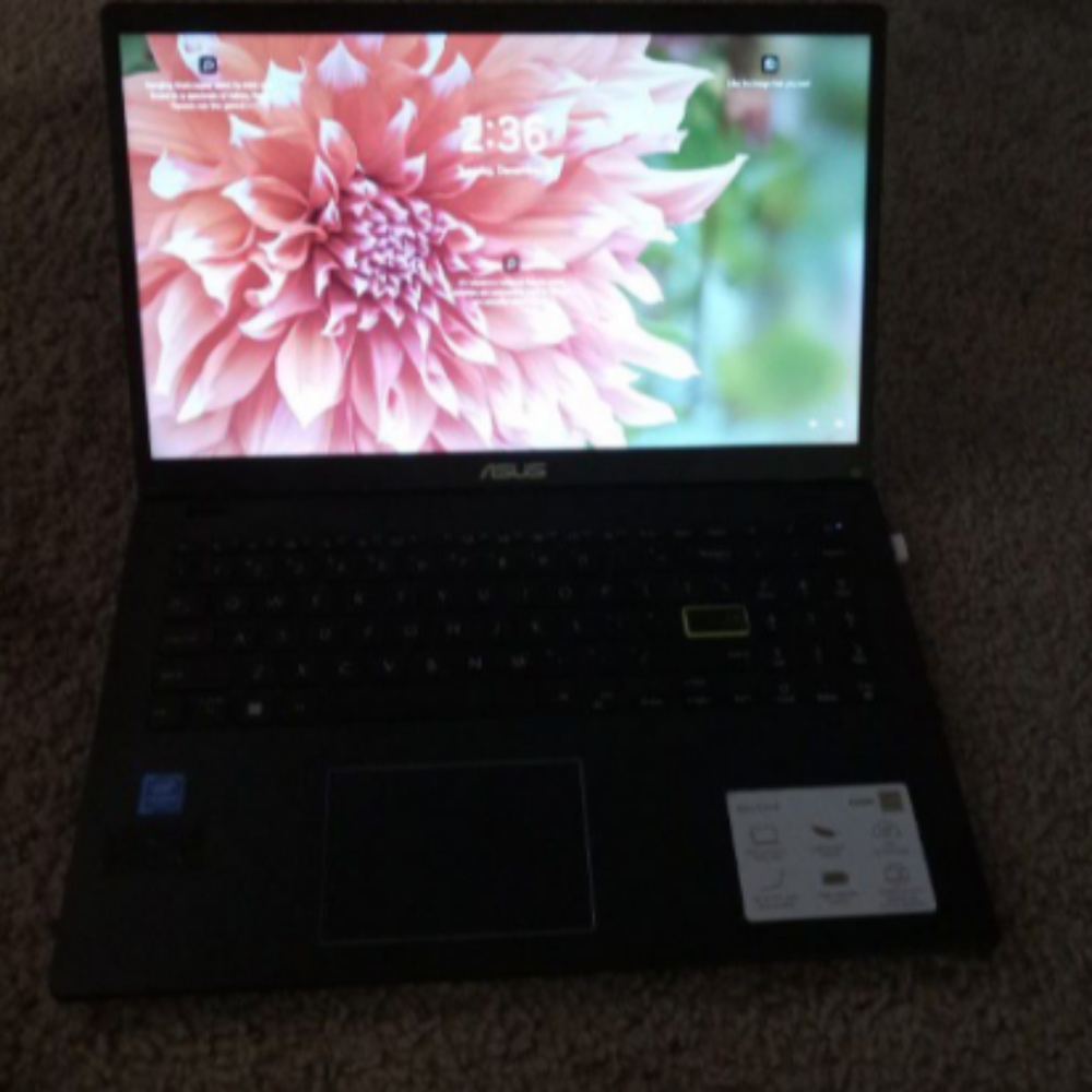 ASUS Laptop L510 Ultra Thin Laptop (Black) (includes 2 USB drives {30GB each})